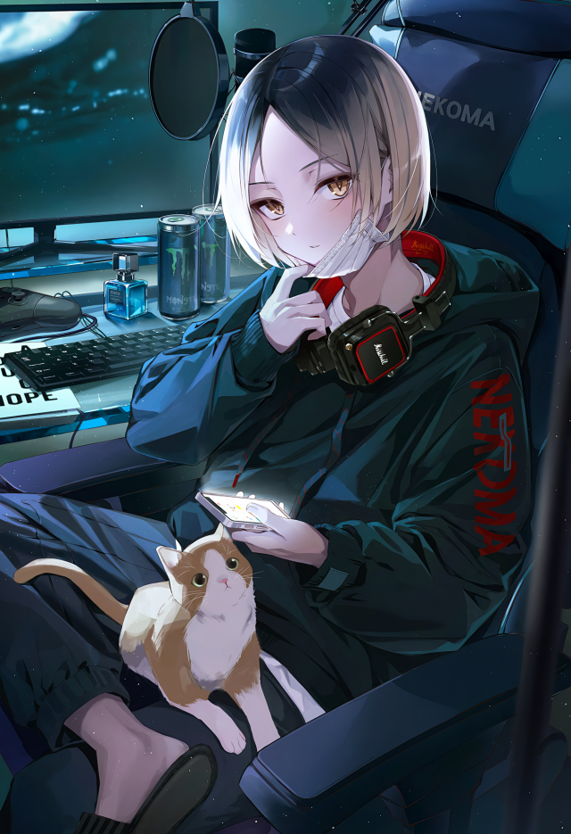 17518740410.png